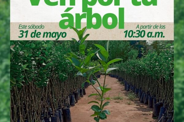 En Vive tu Árbol seguimos sembrando futuro y tú puedes ser parte de él